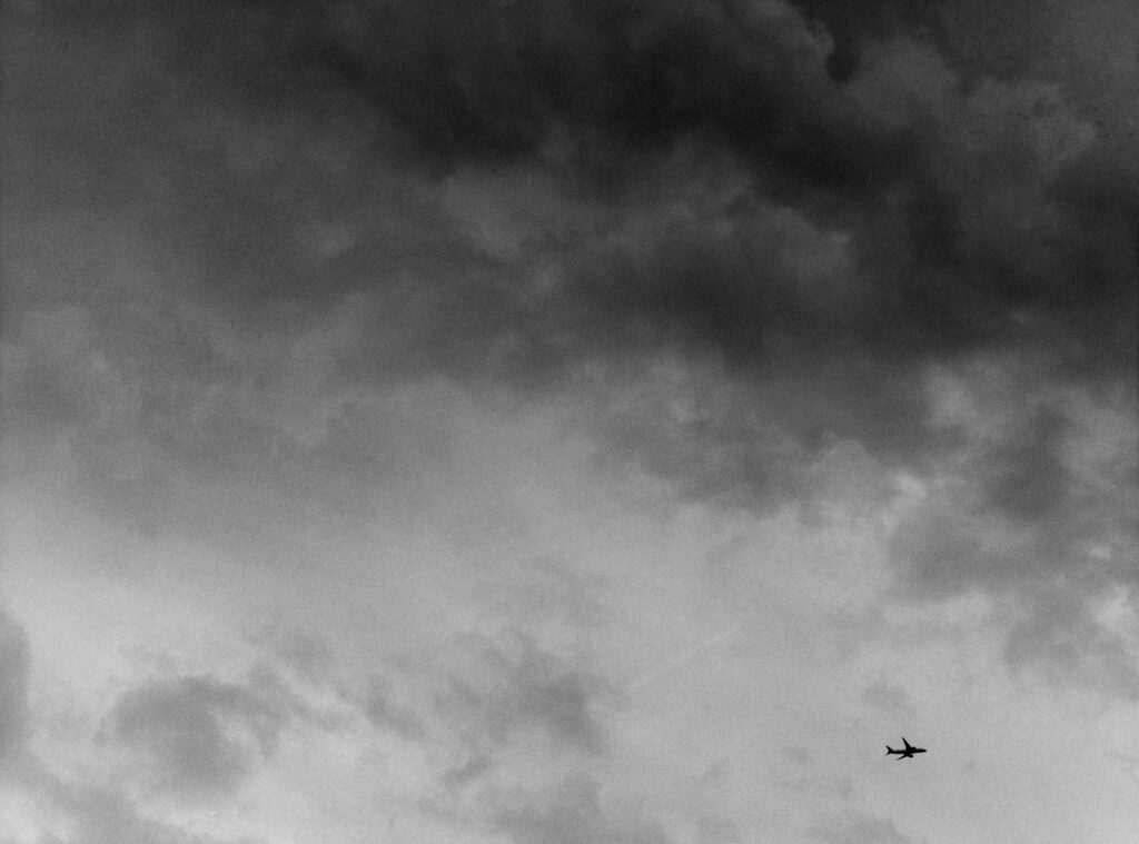 The 1975 : BFIAFL