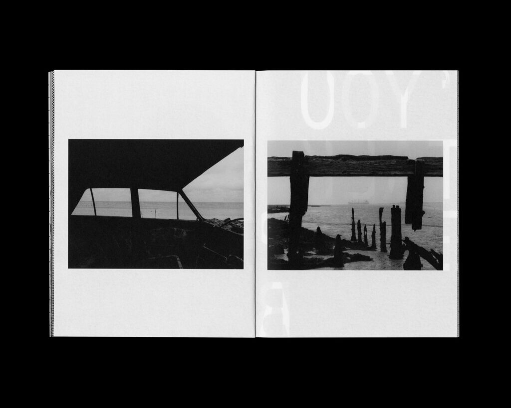 The 1975 : BFIAFL