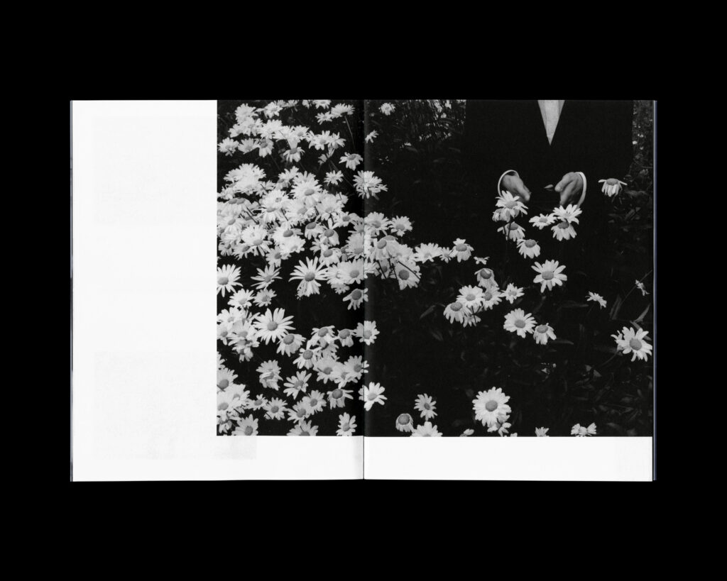 The 1975 : BFIAFL