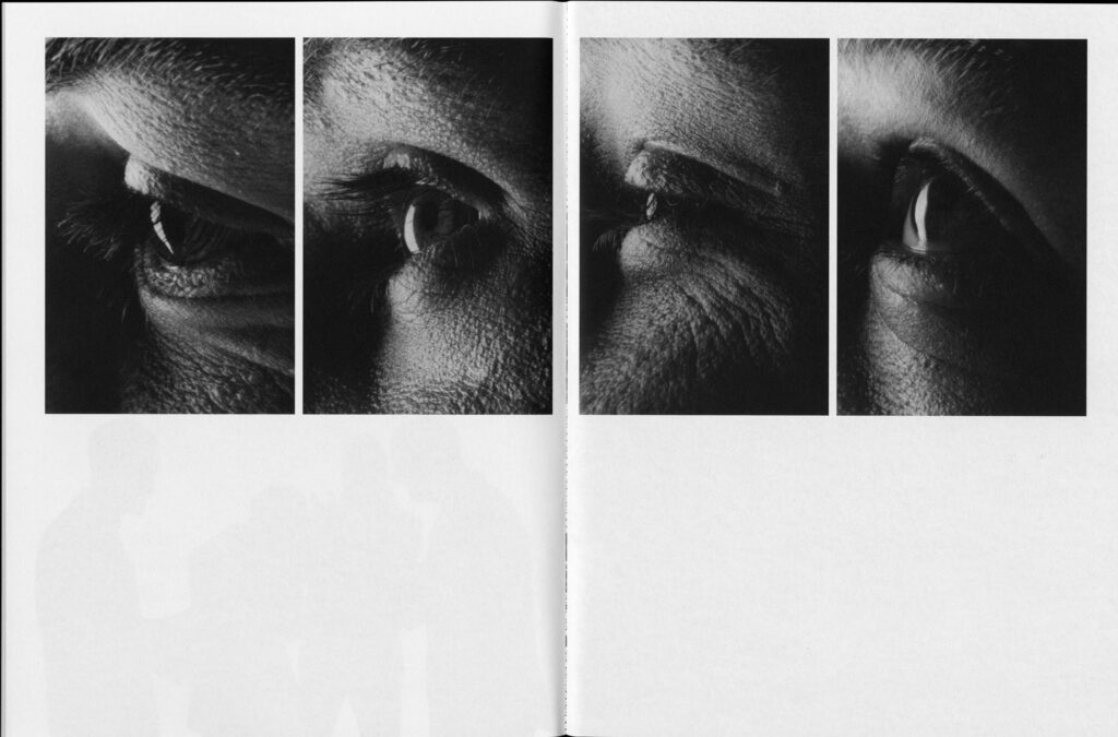 The 1975 : BFIAFL